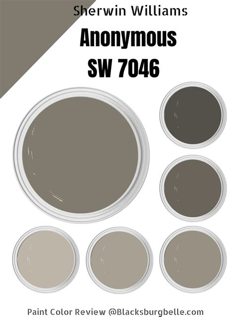 sherwin williams anonymous gray.